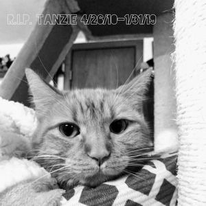 Meet your Posher, Bill